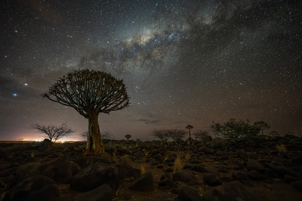 Platz 1 Kajetan Prinz